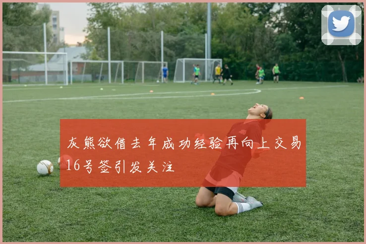 灰熊欲借去年成功经验再向上交易16号签引发关注
