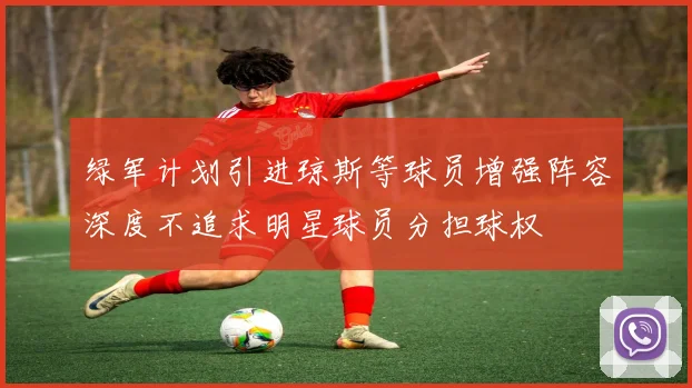 绿军计划引进琼斯等球员增强阵容深度不追求明星球员分担球权