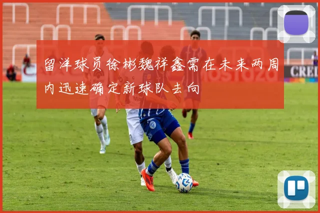 留洋球员徐彬魏祥鑫需在未来两周内迅速确定新球队去向